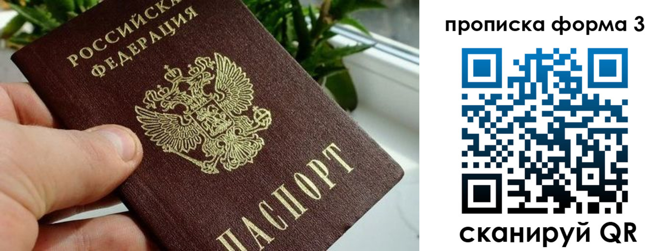 прописка паспорт в Алексине